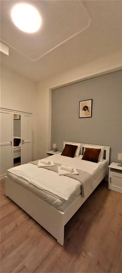Quiet And Private Studio In The Center Daire Budapeşte Dış mekan fotoğraf